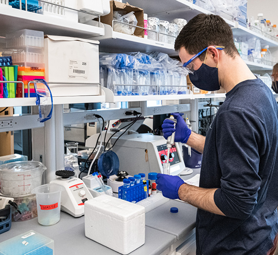 estrellas galácticas y foto de un estudiante